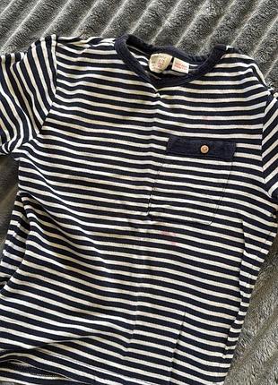 Реглан для хлопчика zara baby в смужку, білий з синім