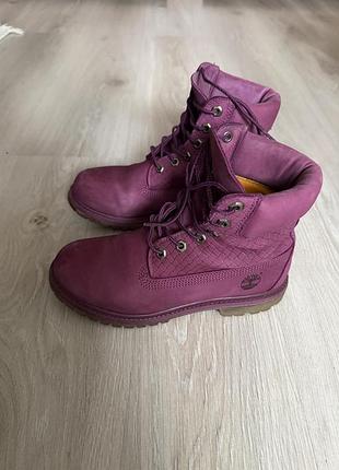 Черевики жіночі timberland purple nubuck р. 38 (24 см)
