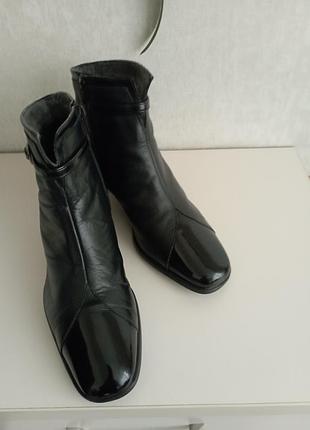 Черевики жіночі baskoni чорні шкіряні