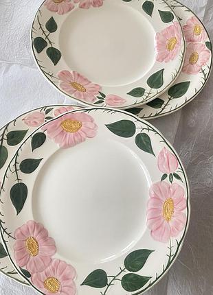 Великі тарілки від villeroy&boch, wild rose