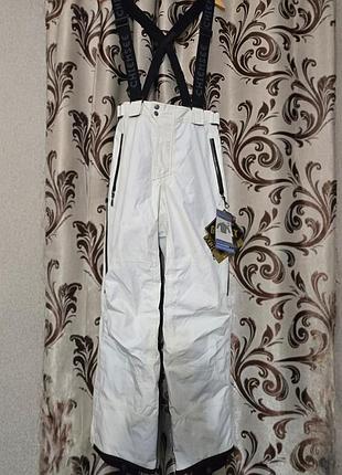 Горнолыжные брюки chiemsee defrost gore-tex xcr