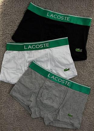 Набор мужских боксеров lacoste 3