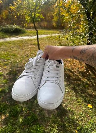 Шкіряні кеди tommy hilfiger ❤️ 37,5/38p.
