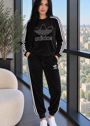 Велюровый костюм adidas