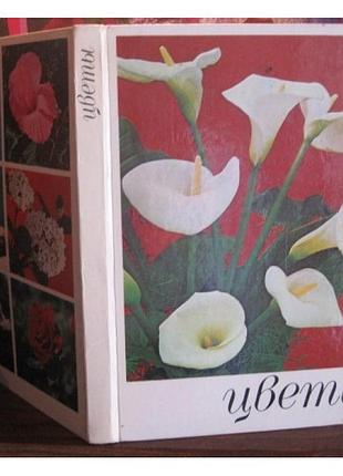 Цветы, комнатные растения и декоративноцветущие кустарники, 1979г.