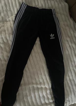 Спортивні штани  adidas