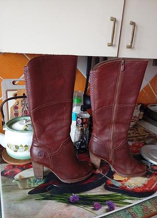Чоботи жіночі timberland коричневі, розмір 38