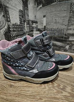 Черевики термо для дівчинки geox рожеві 34 р