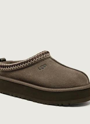 Уги уггі ugg tazz slipper hickory brown