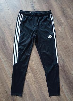 Брендовые спортивные штаны adidas.