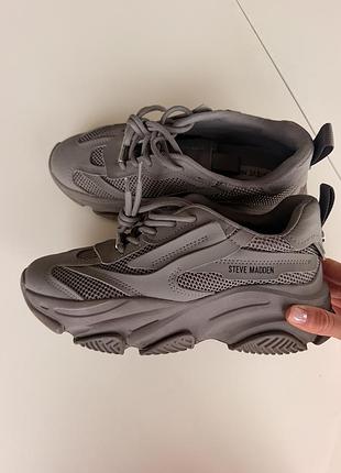 Кросівки жіночі steve madden сірі