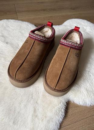 Черевики жіночі ugg tazz ll руді устілка 24,5 см