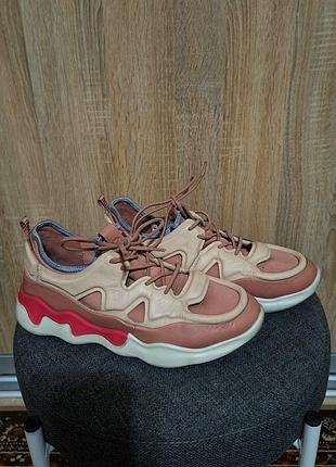 Жіночі шкіряні кросівки ecco elo w у рожевому кольорі (rose dust / damask rose