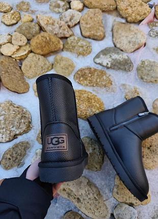 Угги ugg шкіряні 2