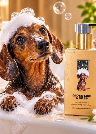Засоби для купання rituals the dog spa gloss like a boss шампунь для собак з екстрактом ромашки, 300 мл