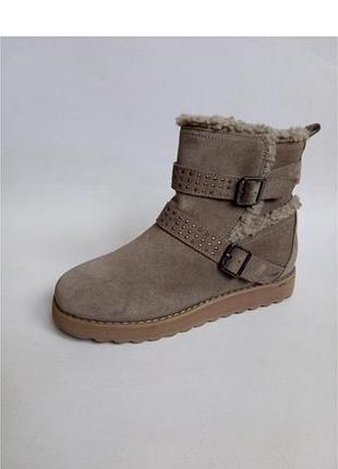 Замшеві черевички skechers 6