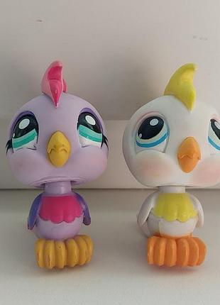 Littlest pet shop lps папуга фігурки набір лот 2 шт фігурка іграшка фігурки лпс літтлест пет шоп петшоп
