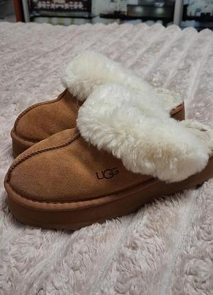 Капці жіночі ugg з натуральної замші, бежеві