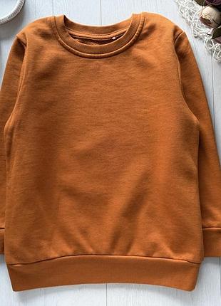 4,5 лет, рост 104,110 флисовый свитшот для мальчика matalan (маталан) артикул 28801