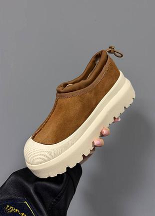 Ugg tasman weather hybrid | chestnut 3