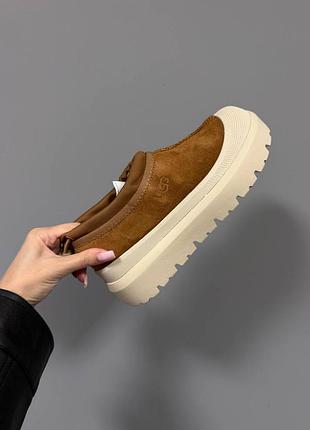Ugg tasman weather hybrid | chestnut 5