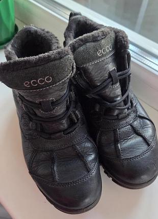 Ботинки ecсo terra vg 36 размер (подойдет на 36,5-37)