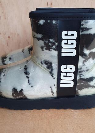 Жіночі міні-черевики ugg р.38