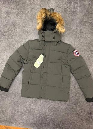 Canada goose puffer jacket grey