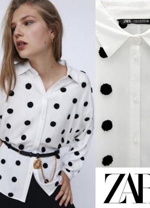 Блуза жіноча zara в горох