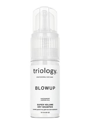Сухий шампунь для об’єму волосся blowup triology, 18 г