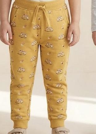 Теплі спортивні штани / джогери dunnes stores (3-4 роки, 104 см) гірчичні з їжачками на начісі