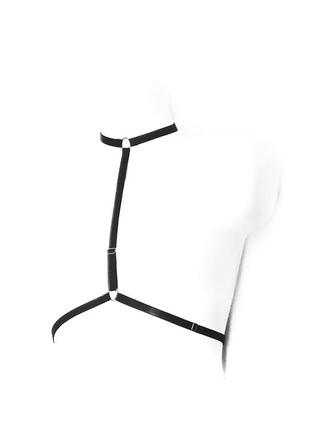 Портупея, контурна білизна, чокер, стрепи, шлейки