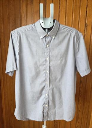 Чоловіча сорочка lacoste у дрібну клітинку, xl–xxl