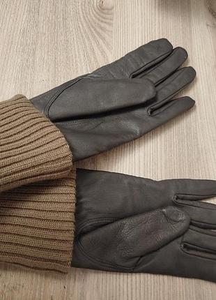 Шкіряні печатки, gap