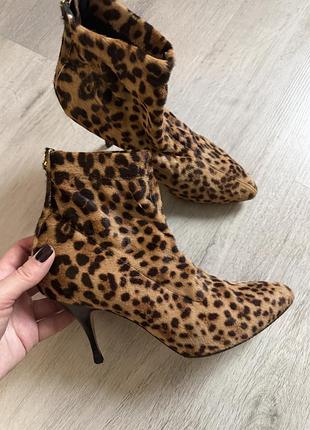 Ботильйони жіночі brian atwood леопардові 2