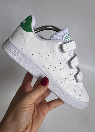 Кросівки adidas 6