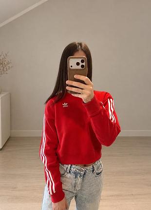 Світшот жіночий adidas original червоний