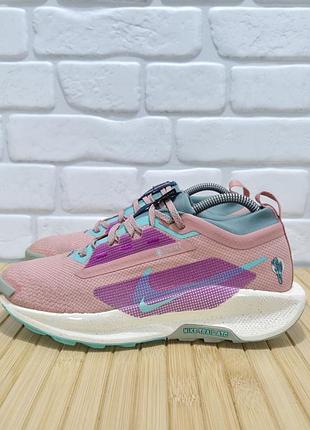 Кросівки nike react pegasus trail gore-tex 2