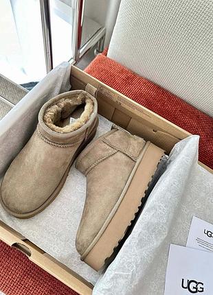 Ugg mini на платформе