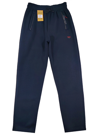 Штаны спортивные мужчины утепленные на флисе прямые xl, 2xl, 3xl