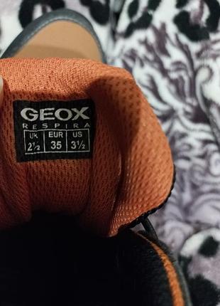 Черевики geox коричневі 3