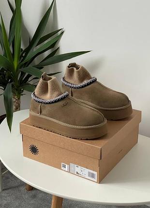 Угги уггі угг ugg tasman platform sock khaki 2