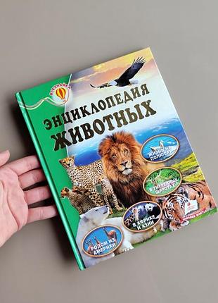 Дитяча книга энциклопедия животных всезнайка пегас
