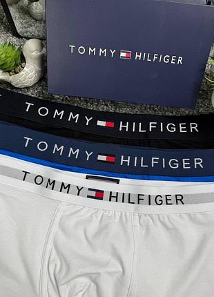 Боксери tommy hilfiger 2