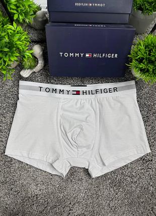 Боксери tommy hilfiger 5