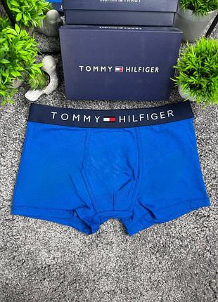 Боксери tommy hilfiger 6