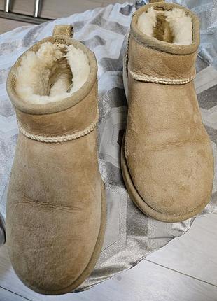 Жіночі зимові     черевики  ugg оригінал  37р