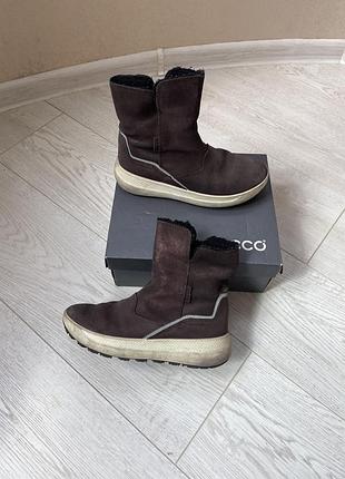 Черевики  зимові ecco