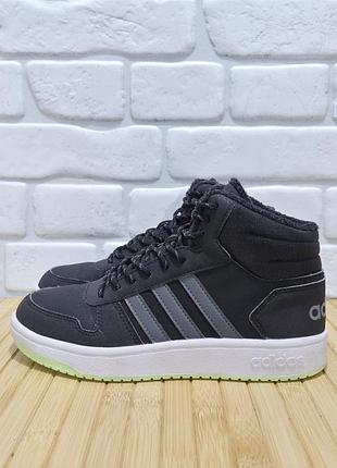 Черевики adidas
