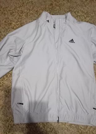 Вітровка чоловіча adidas